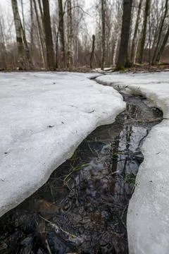 A thin stream with melt water in the forest Stock Photos