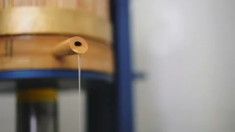 A thin stream of vegetable oil flows from the press Stock Footage 146522488