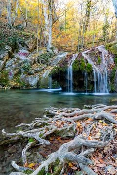 Thin streams of a mountain waterfall and the huge roots of an old tree Stock Photos