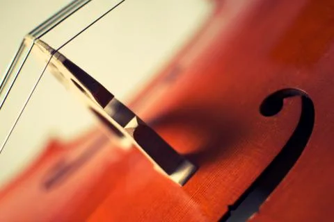 Thin strings of brown violin close-up Stock Photos