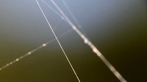 Thin threads from the world of insects are weaved by a spider. macro web Stock Footage 27764866