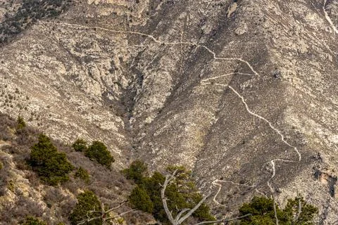 Thin Trail Cuts Through Desert Brush Up a Mountain 写真素材