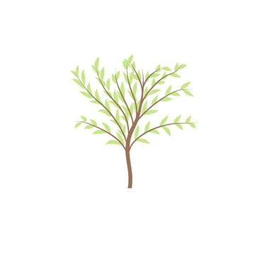 The thin trunk of the tree with leaves vector logo. Forest and park. Stock Illustration