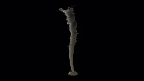Thin vortex tornado Video stock 80014637