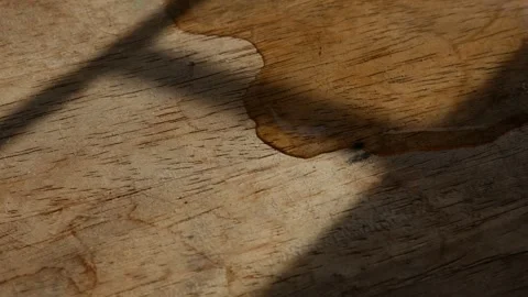 Thin water stream trickling across rustic aged wood grain surface Stock Footage 336665418