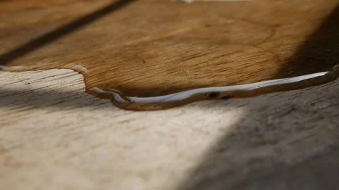 Thin water stream trickling across rustic aged wood grain surface Vidéo 337291681