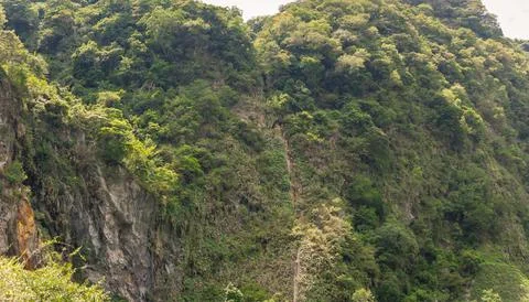 Thin Waterfall Cascading Down Lush Green Mountainside Amidst Dense Vegetati.. Stock Photos