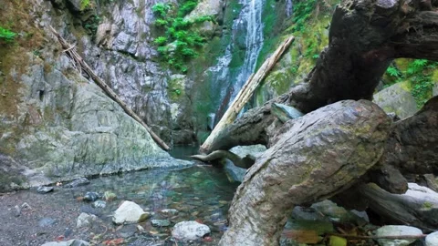 Thin Waterfall Cascading Down Moss Covered Forest Canyon Cliff Face Vídeo Stock 347304912