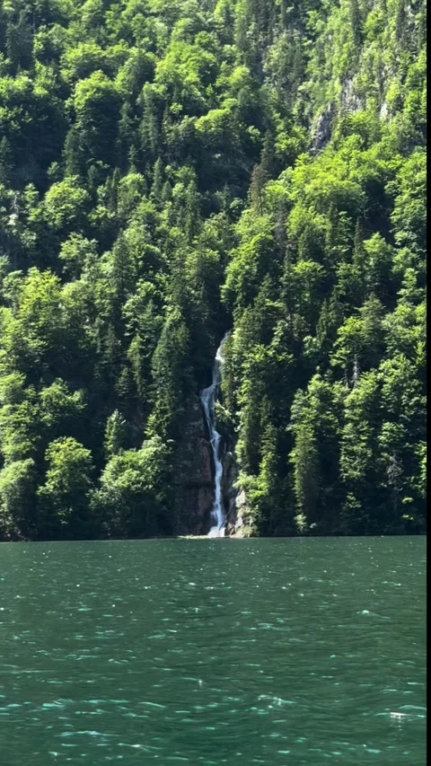 Thin waterfall on a forested cliff above Koenigssee from ferry Vídeo Stock 341768949