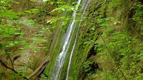 Thin waterfall streams flowing down a steep mossy rock wall in the forest Stock Footage 334868950