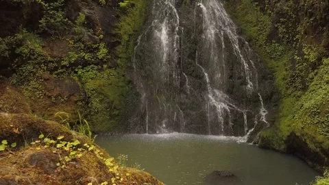 Thin waterfall tracking 스톡 동영상 100135028