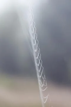 Thin web threads with dew drops Stock Photos