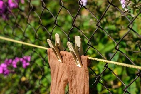 Thin women's socks are attached with clothespins. Stock Photos