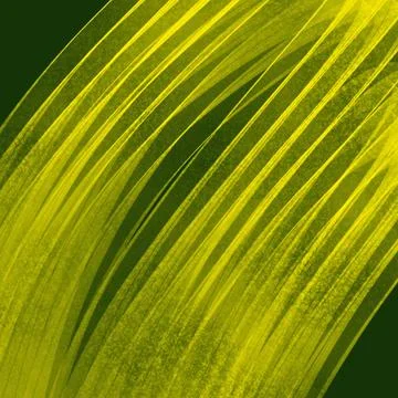 Thin Yellow Curved Lines on Green Background Illustration