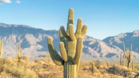 Things Are Looking Up 스톡 사진