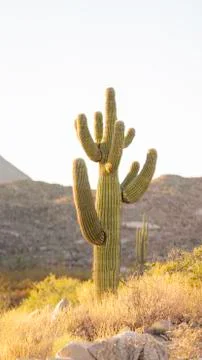 Things are Looking Up 스톡 사진