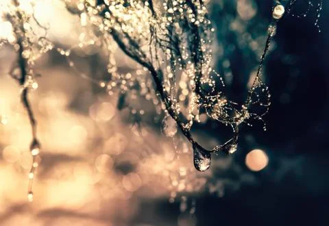 Things with an ephemeral nature Stock Photos