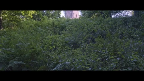 Thingstätte Amphitheater in Heidelberg, Germany Stock Footage 313582644