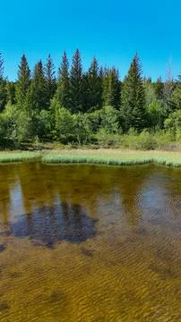 Thingvellir area pond with forest reflection in Iceland Stock Photos