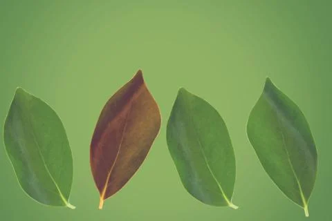 Think Different Concept Background Stock Photos