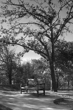 Thinking bench Foto stock