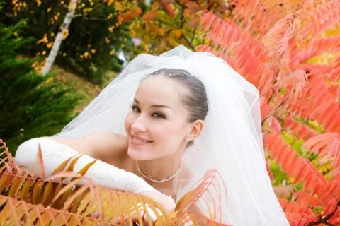 Thinking bride by the yellow leaf of the plant Stock Photos