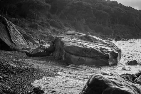 Thinking man on the beach Stock Photos