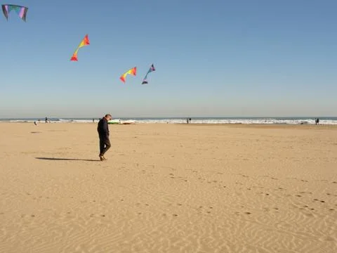 Thinking man walking on a beach with some flying kites Stock Photos