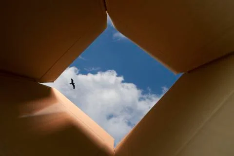 Thinking outside the box concept Foto stock