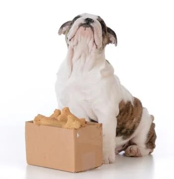 Thinking outside the box Stock Photos