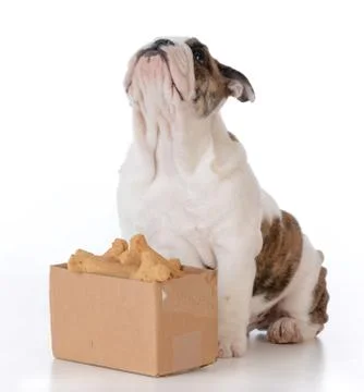 Thinking outside the box Stock Photos