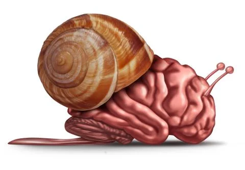 Thinking slow Illustrazione stock