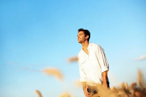 Thinking, smile and man at wheat field on holiday with peace, calm and spac.. Stock Photos