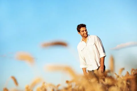 Thinking, smile and man at wheat field on vacation with peace, calm and spa.. Stock Photos