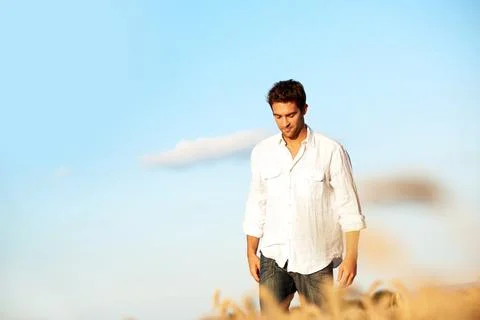 Thinking, walking and man at wheat field on holiday with peace, calm and sp.. Stock Photos
