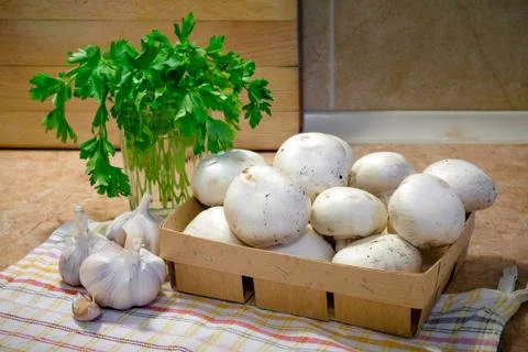 Thinly sliced Champignons and cooked with oil, garlic and parsley Stock-Fotos