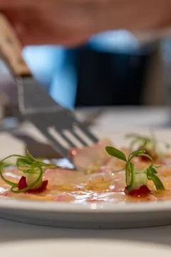 Thinly sliced fish served with citrus dressing, garnished with microgreens .. Foto stock
