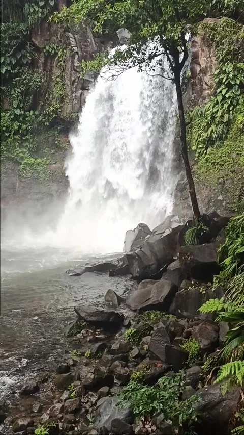 Third carbet waterfall in basse terre, guadeloupe. Powerful tropical cascade Video stock 291685662