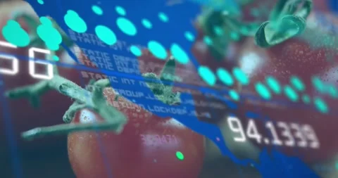 Third frame cyan ovals sweeping tomatoes brushstroke showing 94 Stock Footage 317592953