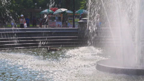 Third Heat Wave affected in New York City in this summer on 2024 Video stock 280325487