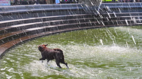 Third Heat Wave affected in New York City in this summer on 2024 Video stock 280325899