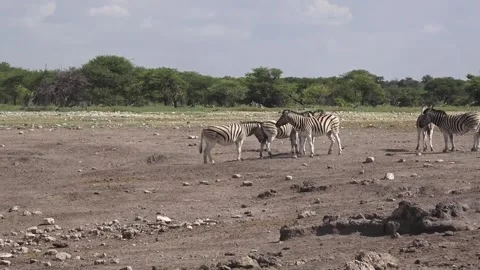 Third joins; energy settles into light sparring — Part 40 Video stock 320845926