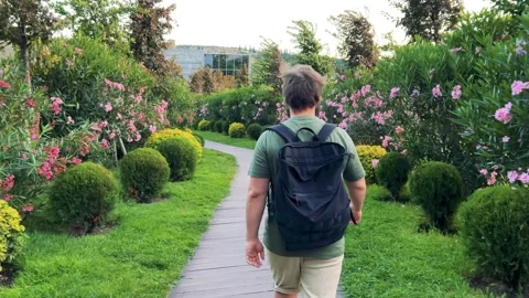 Third person view. Man with black backpack walks along path in flower alley Stock Footage 278265898