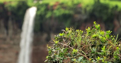 The third waterfall the famous Sipi falls the Mount Elgon national park Uganda Stock Footage 90636333