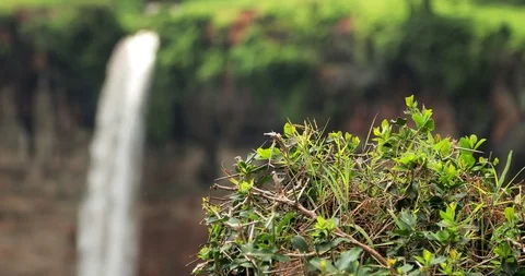 The third waterfall the famous Sipi falls the Mount Elgon national park Uganda Stock Footage 90636349