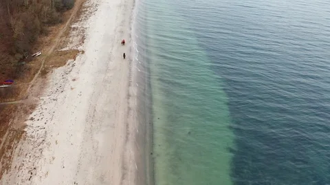 Third wheel horse Stock Footage 102907235