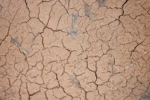Thirst, drought, lack of water. Stock Photos