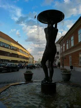 The thirsty bird Stock Photos