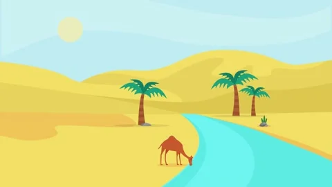 Thirsty camel drinks water in desert Stock Footage 181895324