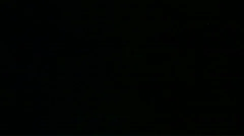 Thirsty Stock-Footage 378148